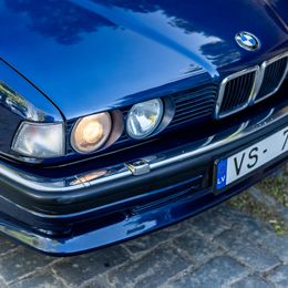 IMG_5484.jpg