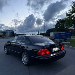 IMG_5550.jpeg