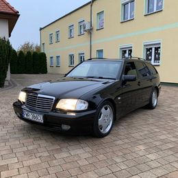 IMG_5983.jpeg