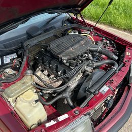 IMG_6213.jpeg