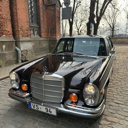 IMG_6561.jpeg