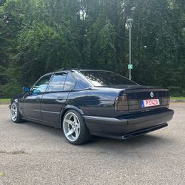 IMG_6942.jpeg
