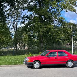 IMG_7211.jpeg
