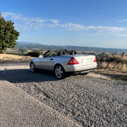 IMG_7426.jpeg