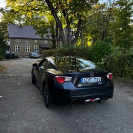 IMG_7435.jpeg