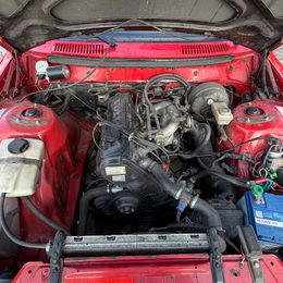 IMG_7765.jpeg