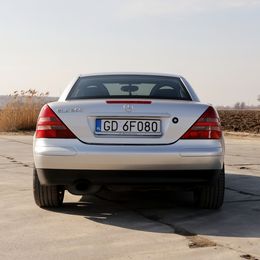 IMG_8296.jpeg