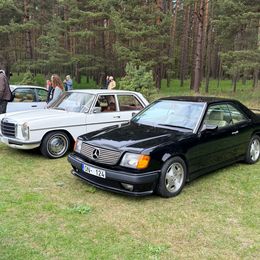 IMG_8849.jpeg