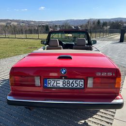 IMG_8953.jpeg