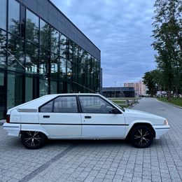 IMG_8974.jpeg
