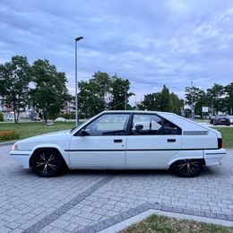 IMG_8977.jpeg