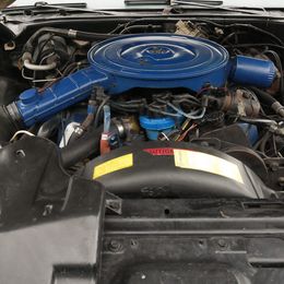 P1110388-2.jpg