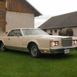 P1110397-2.jpg