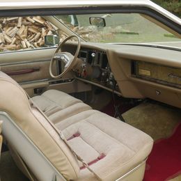 P1110427-2.jpg