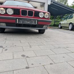 PXL_20260610_150445772.jpg