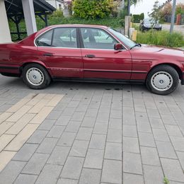 PXL_20260610_150506365.jpg