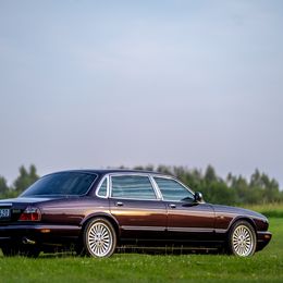 ROGO-10.jpg