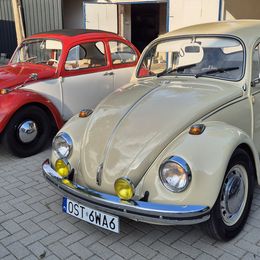 VW Garbus OST6WA6.jpg