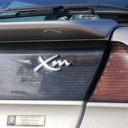 XM_19.jpg